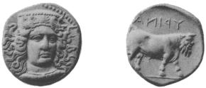 coin image